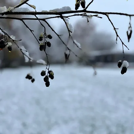 O Nano Glamping Dalhem