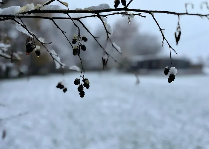 O Nano Glamping Dalhem